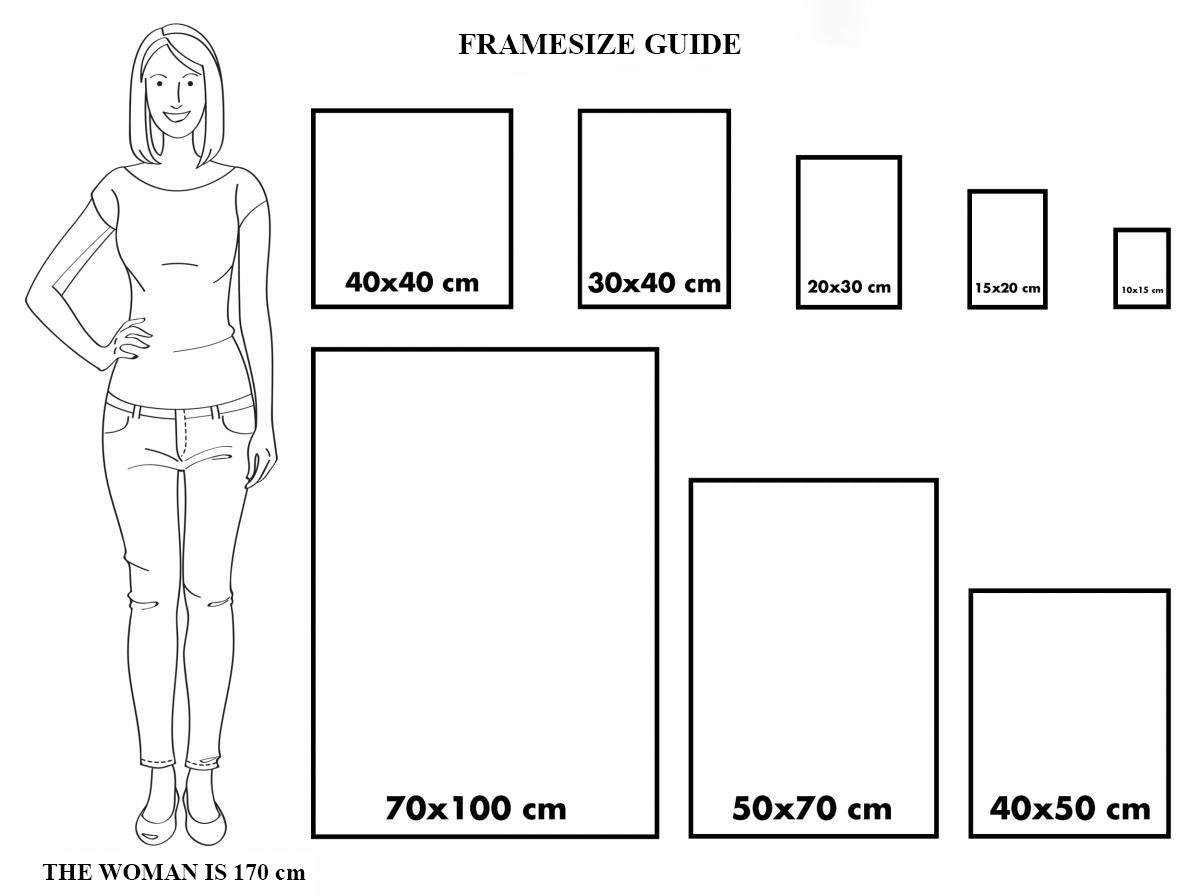 Frame size of guide.